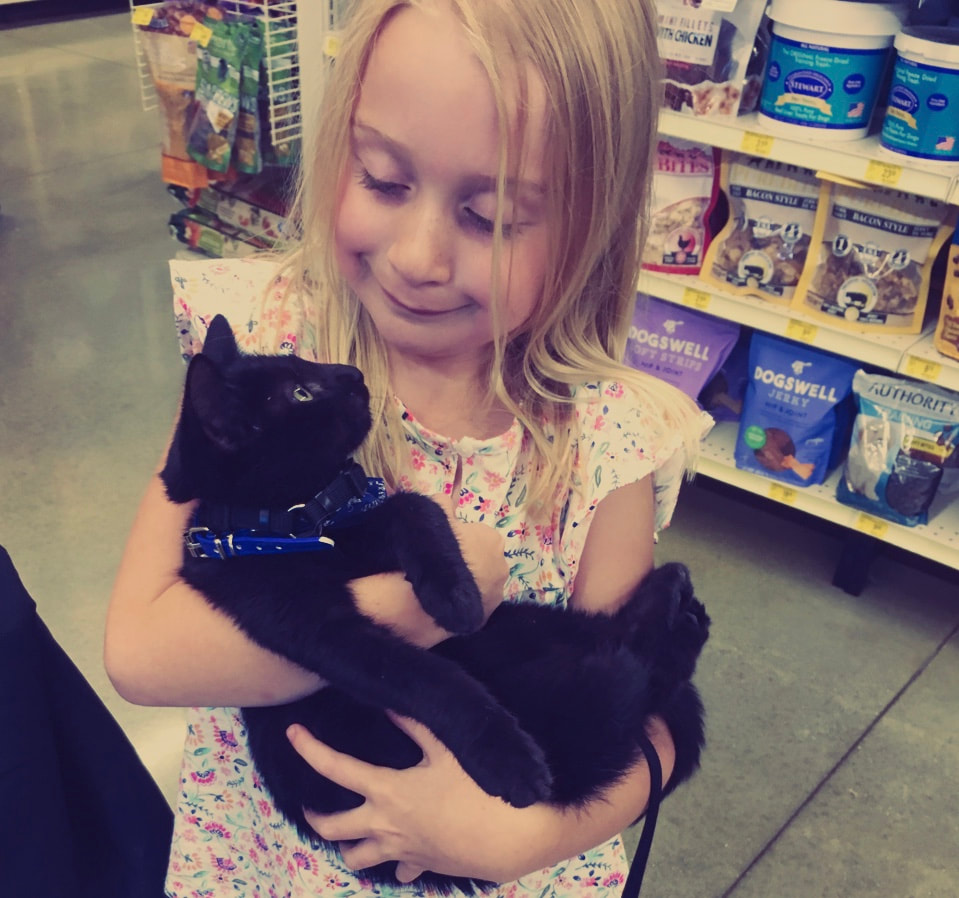 A young girl holds a black cat while in a store.